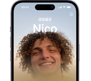 瑞安苹果15服务站分享iPhone15实时语音留言开启方法 